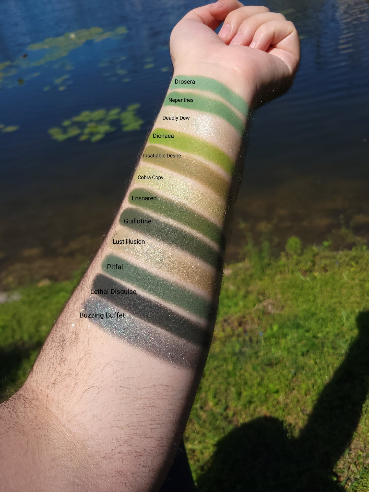 Ensnared - Eyeshadow Matte Mossy Green