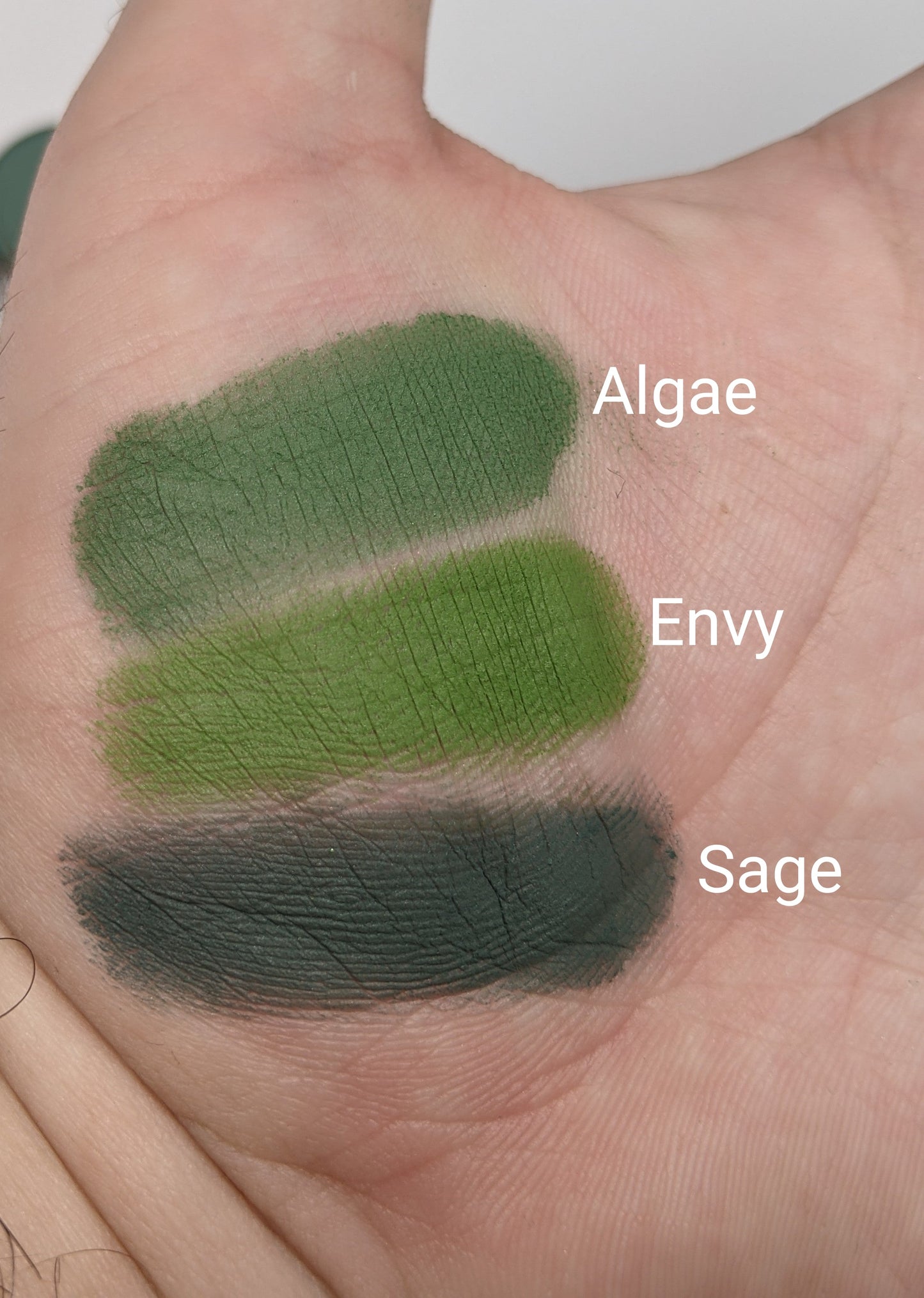 Algae - Eyeshadow Matte Blue Green