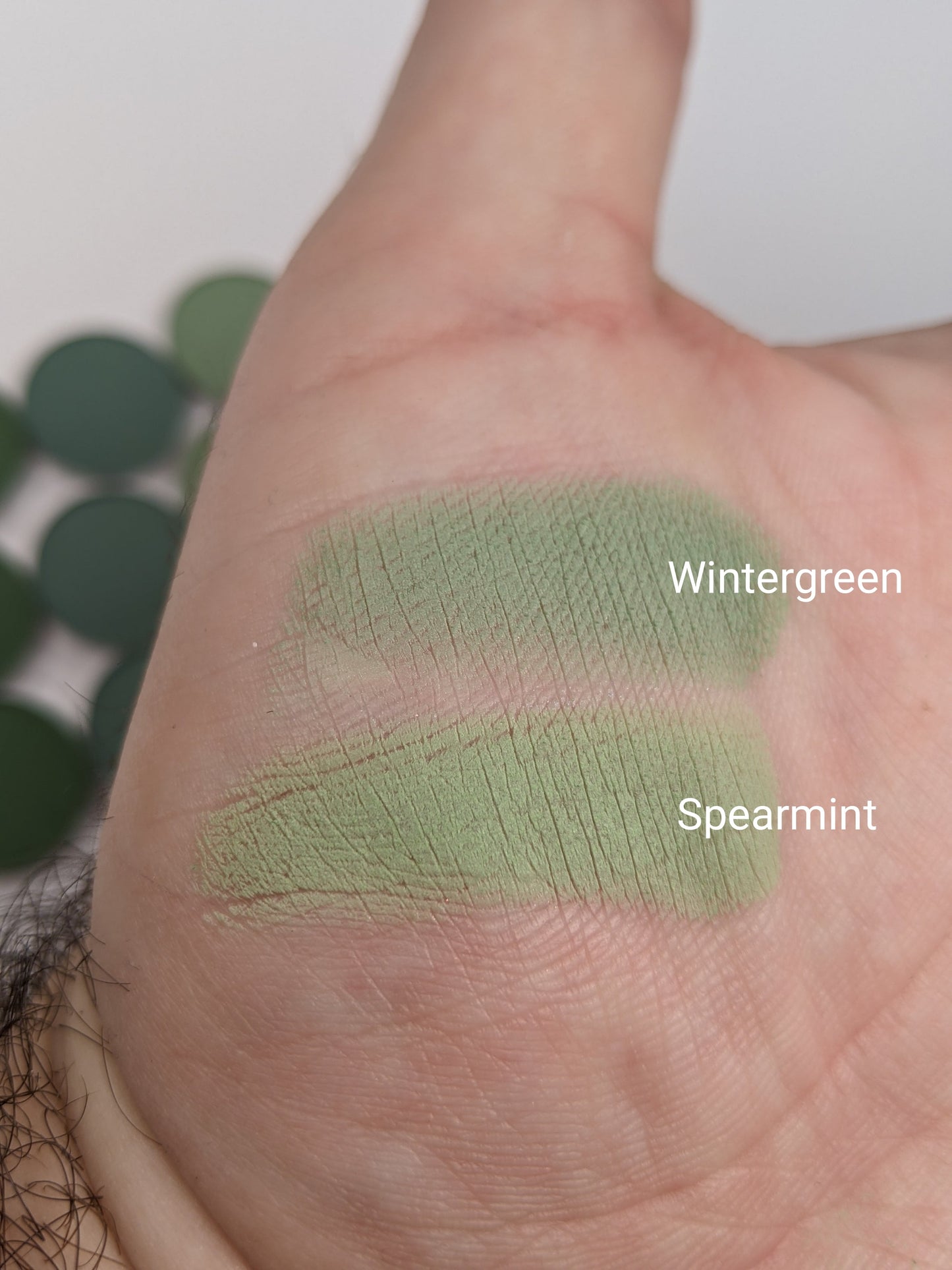 Wintergreen - Eyeshadow Matte Cool Light Green