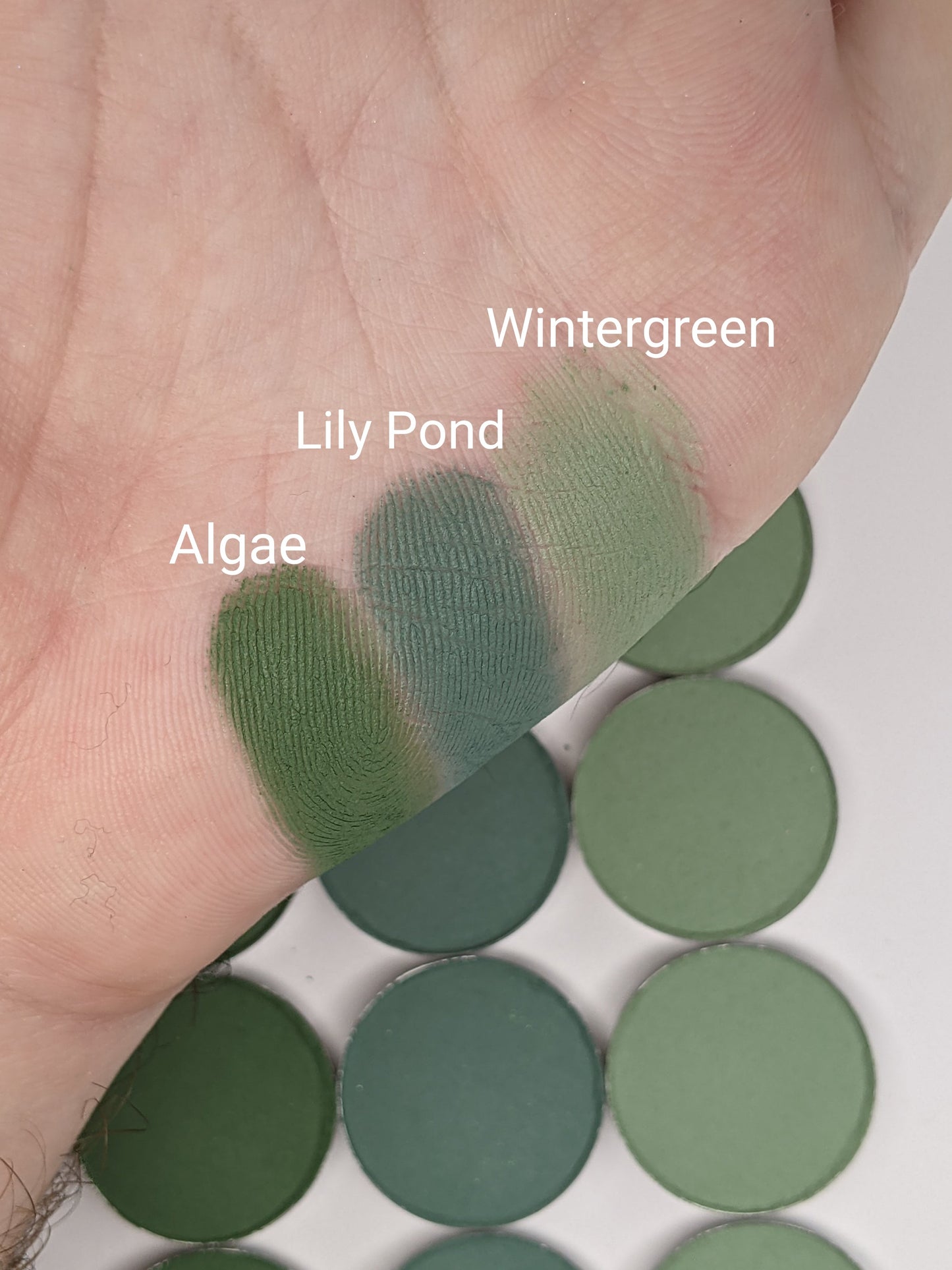 Lily Pond - Eyeshadow Matte Green Teal