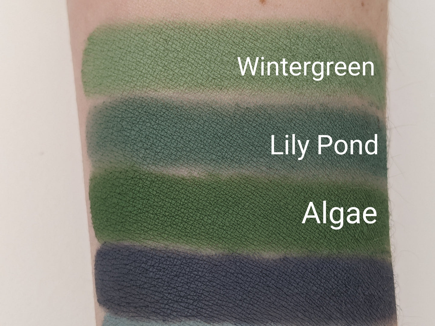 Algae - Eyeshadow Matte Blue Green