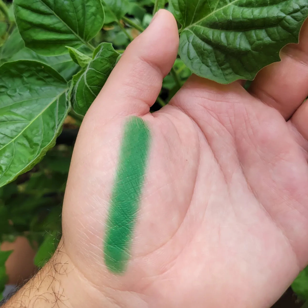 Nature - Eyeshadow Matte Green